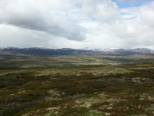 20130604_134917.jpg image