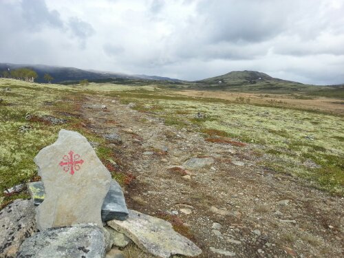 20130604_151318.jpg image