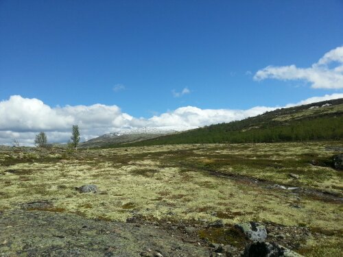 20130605_153227.jpg image