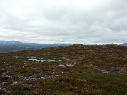 20130611_104043.jpg image