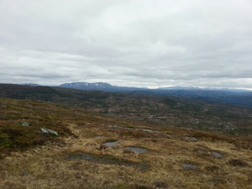 20130611_114533.jpg image