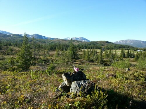 20130612_071705.jpg image