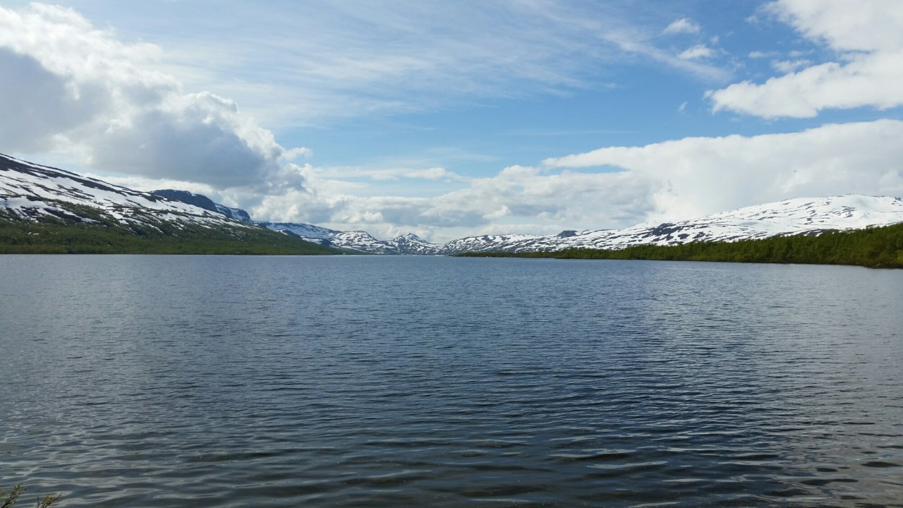 20150707_151244.jpg image