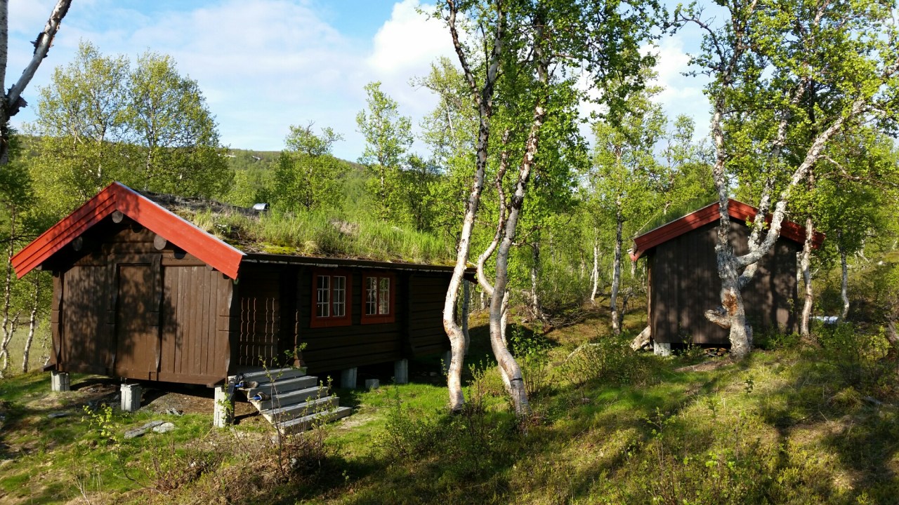 20150707_190241.jpg image