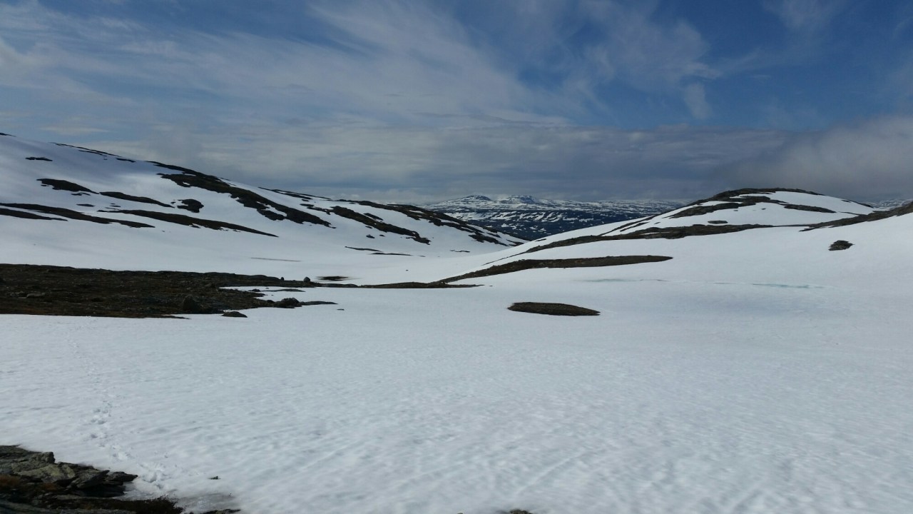 20150721_121338.jpg image