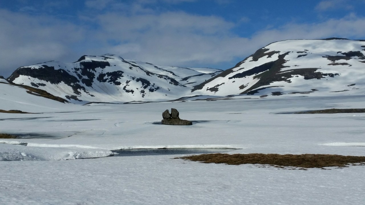 20150722_092047.jpg image