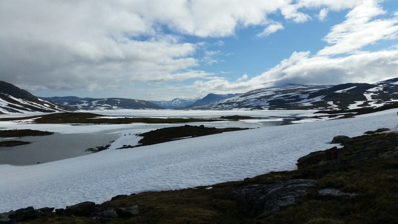 20150722_093754.jpg image