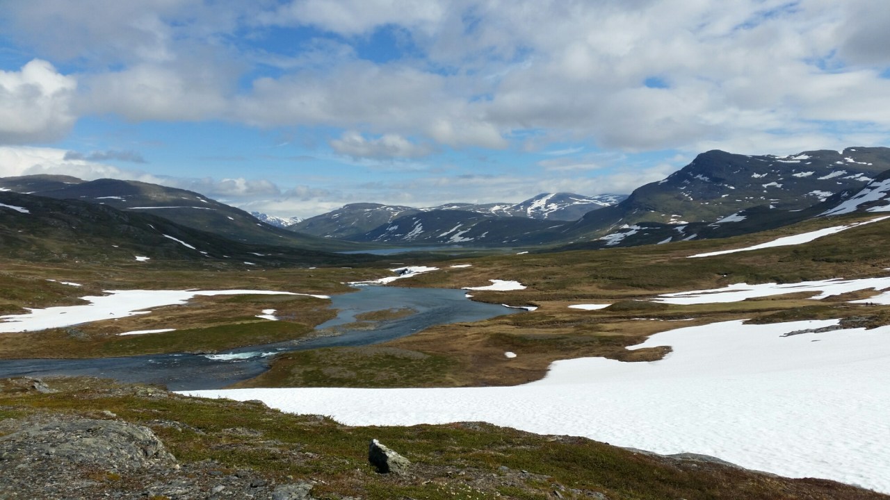 20150722_125429.jpg image