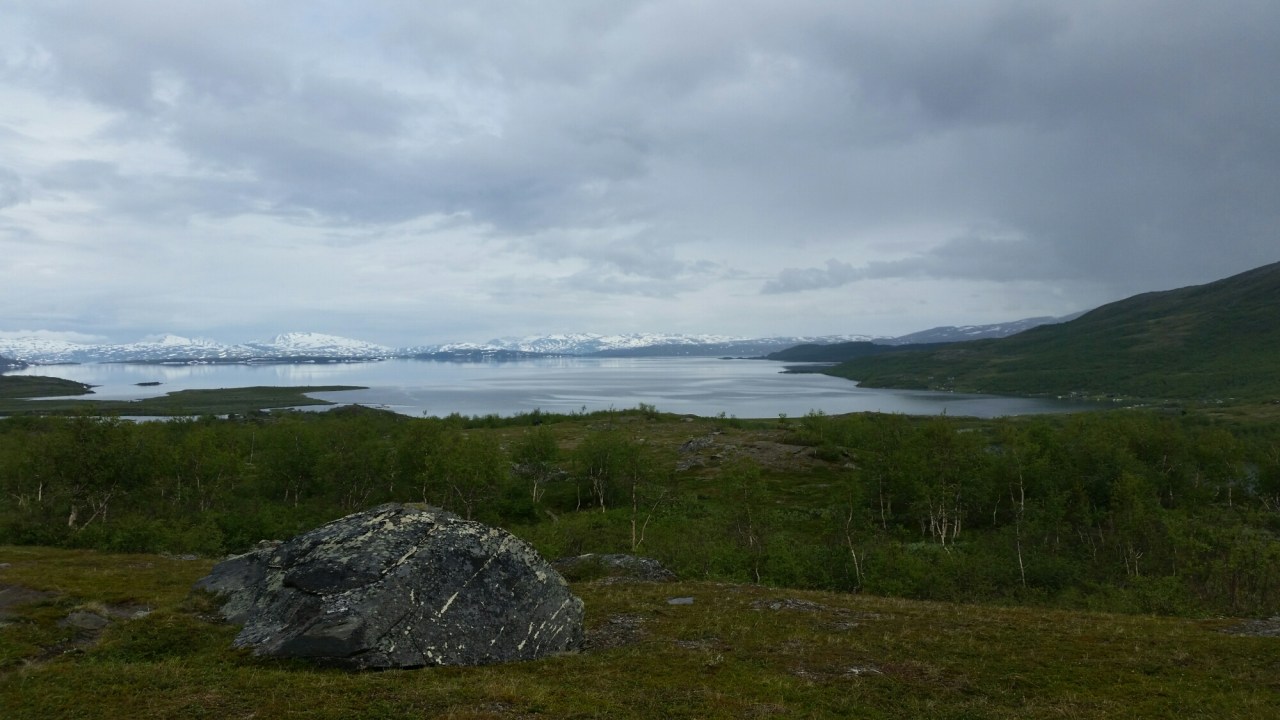 20150723_104110.jpg image