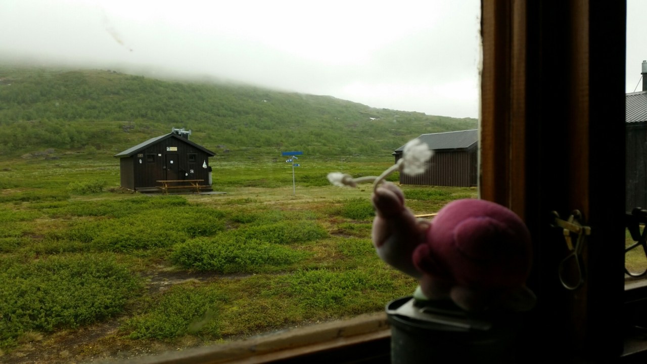 20150724_080045.jpg image