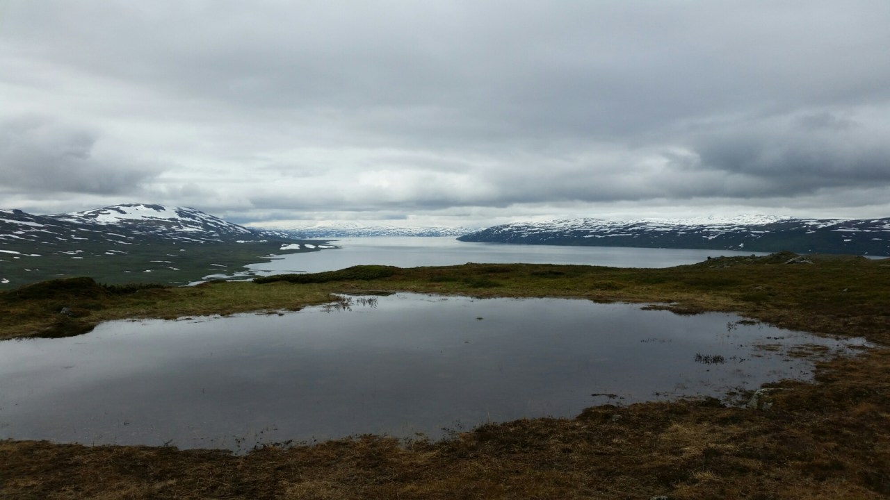 20150724_132943.jpg image