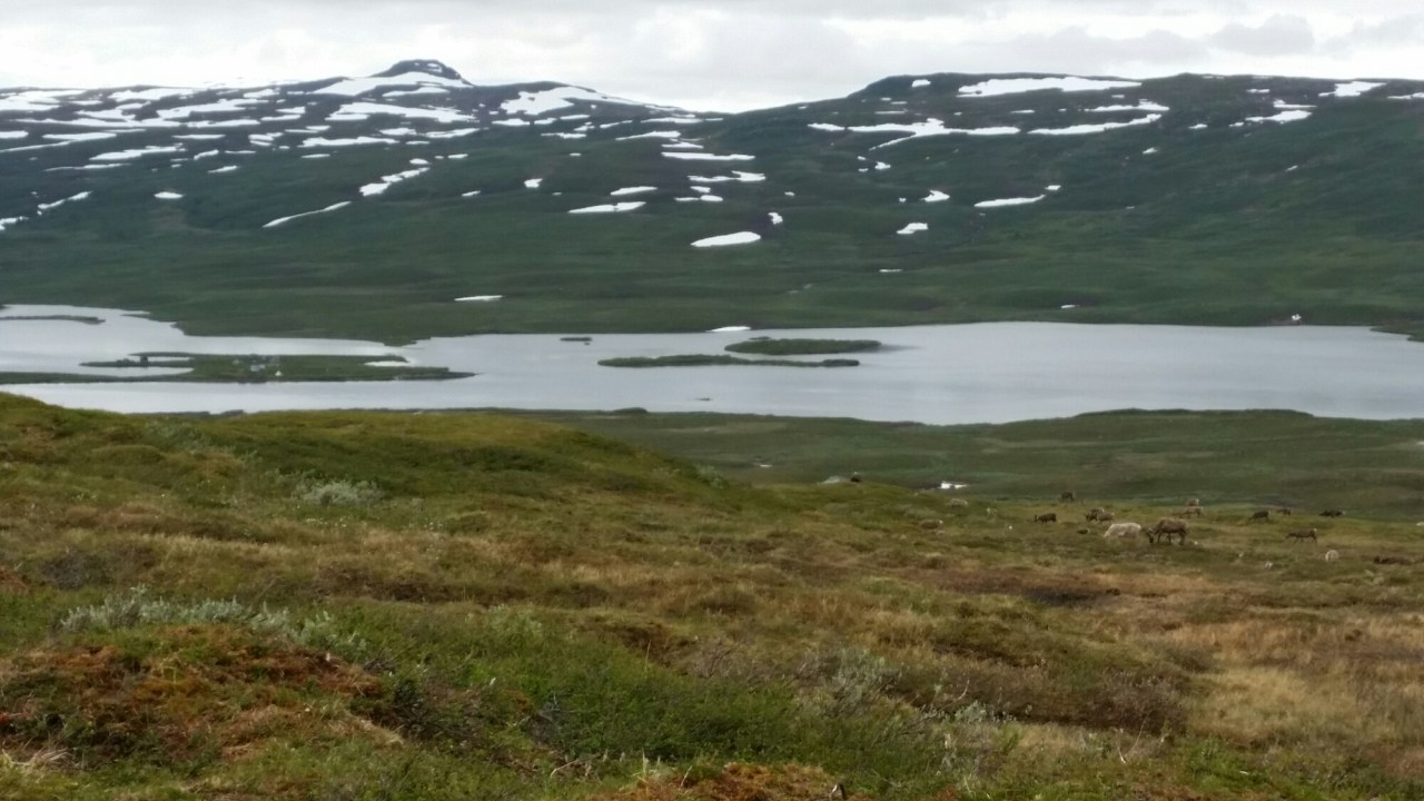 20150724_141141.jpg image