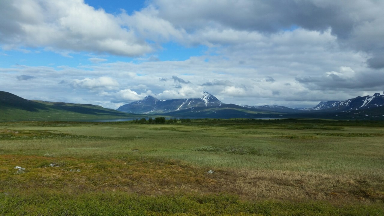 20150724_165711.jpg image