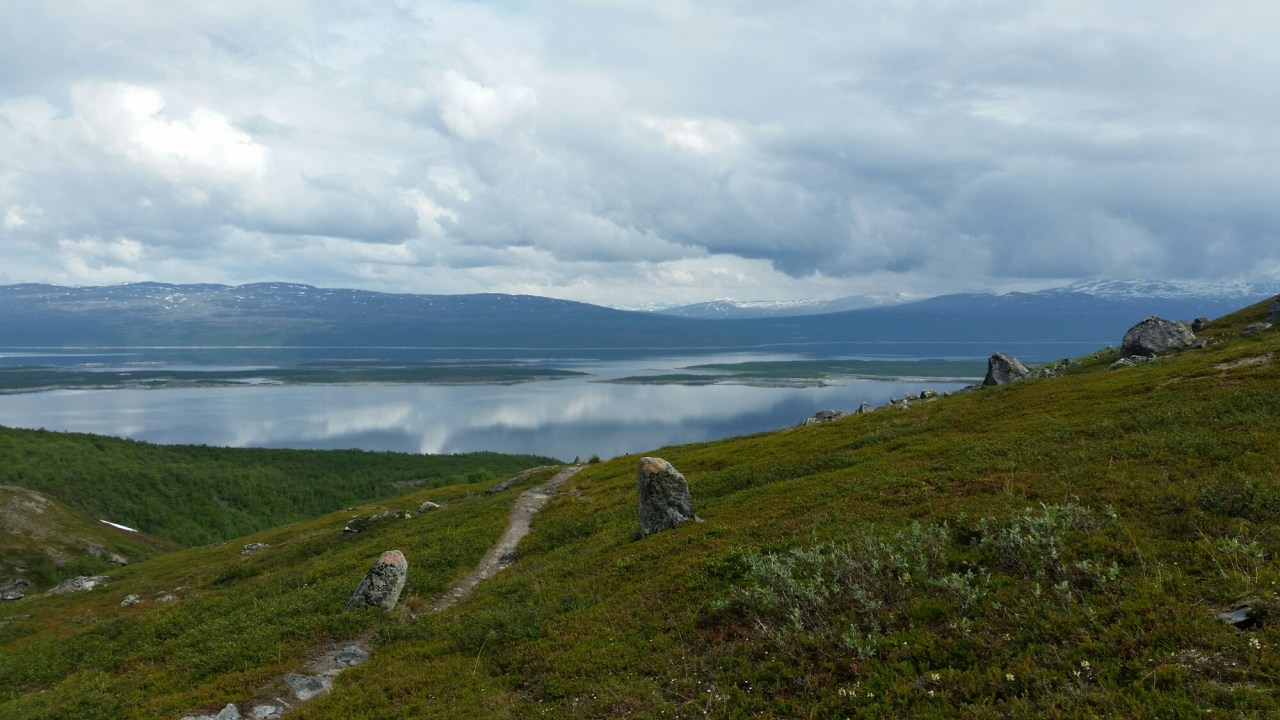 20150725_122913.jpg image