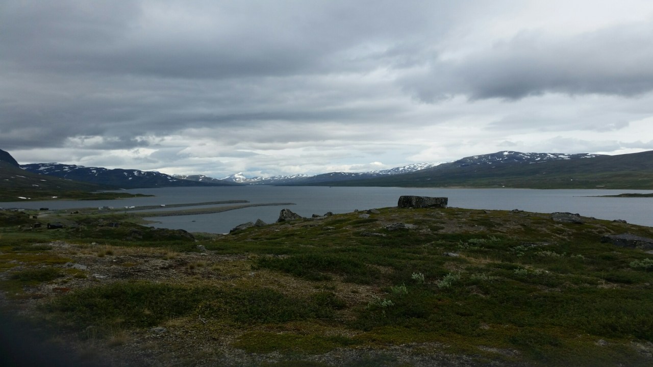 20150726_142201.jpg image