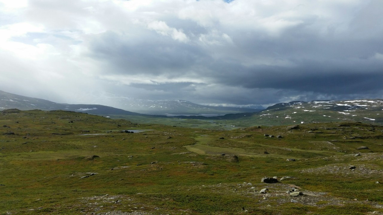 20150727_095842.jpg image