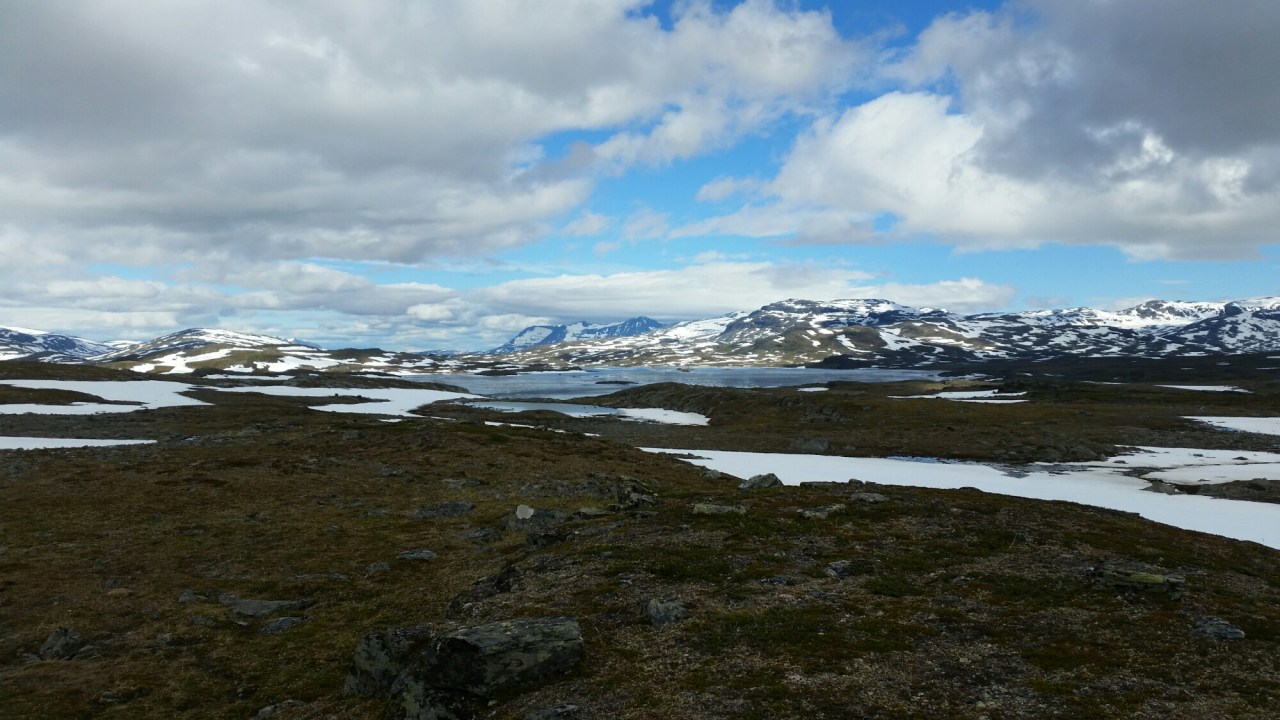 20150728_105115.jpg image