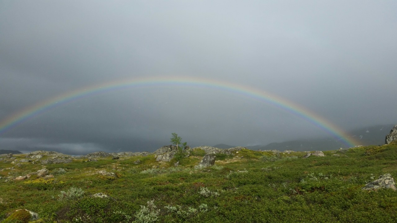 20150730_171645.jpg image