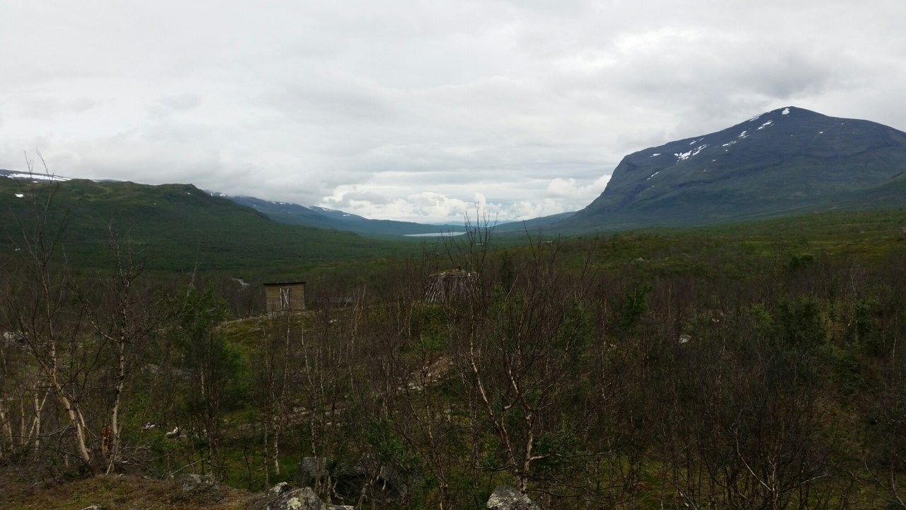 20150731_130213.jpg image