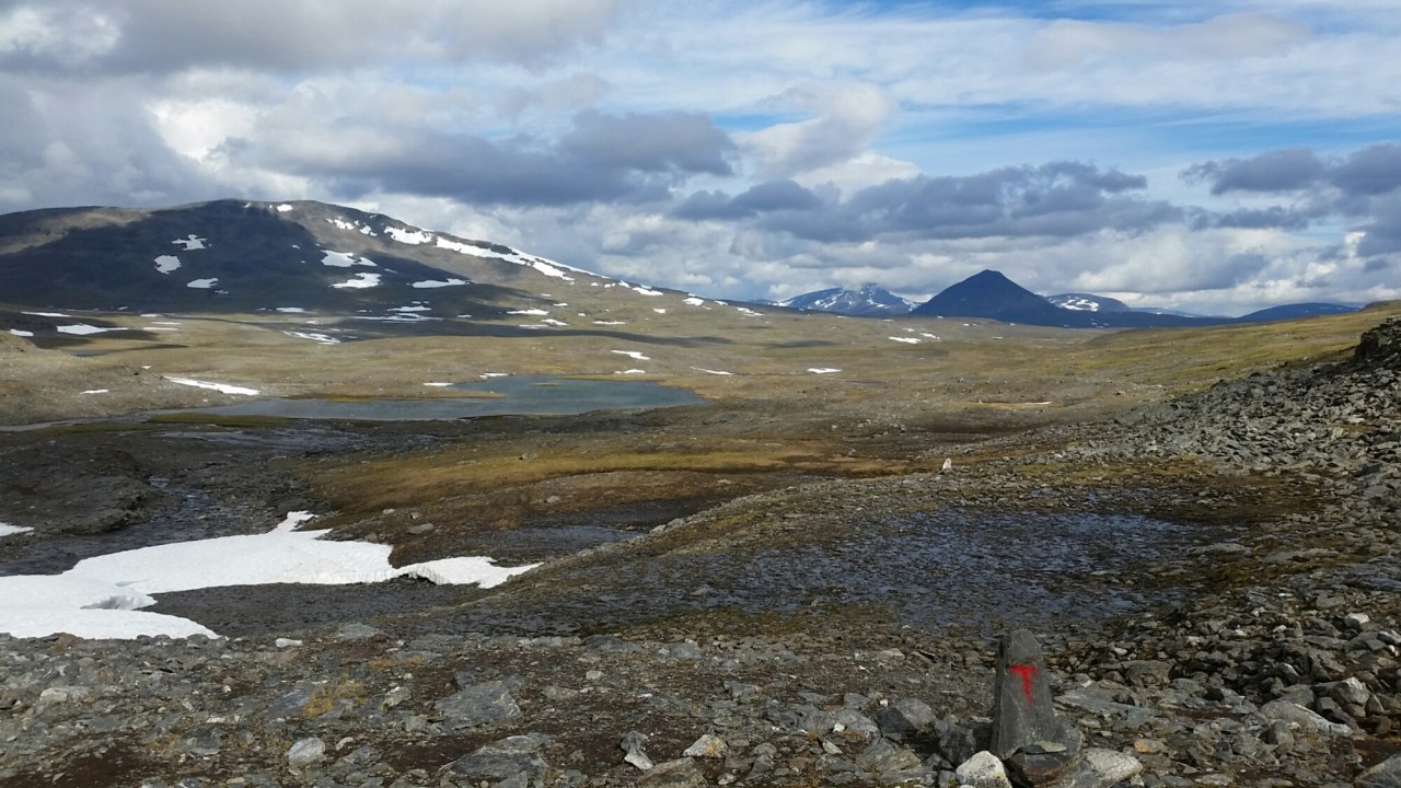 20150811_110859.jpg image