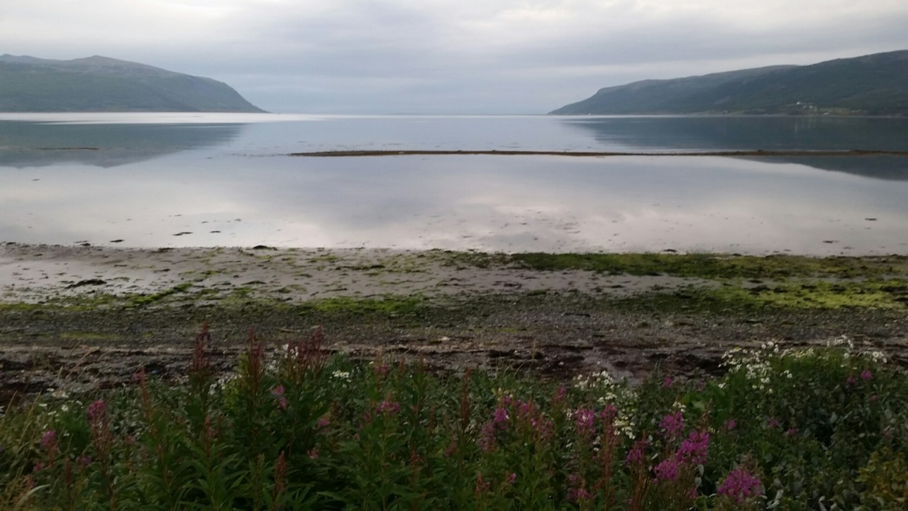 20150823_184856.jpg image