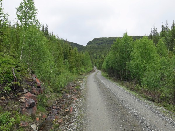 IMG_2666_5570 Kopie - Kopie