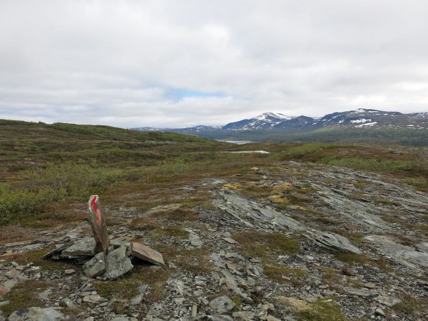 IMG_2706_5535 Kopie - Kopie