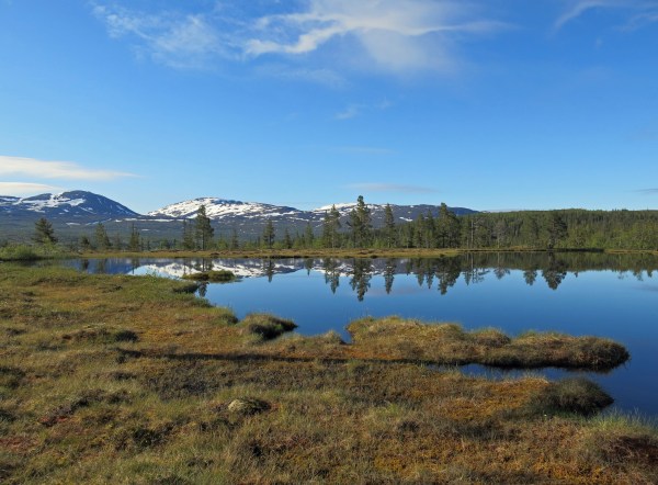 IMG_2749_5471 Kopie - Kopie