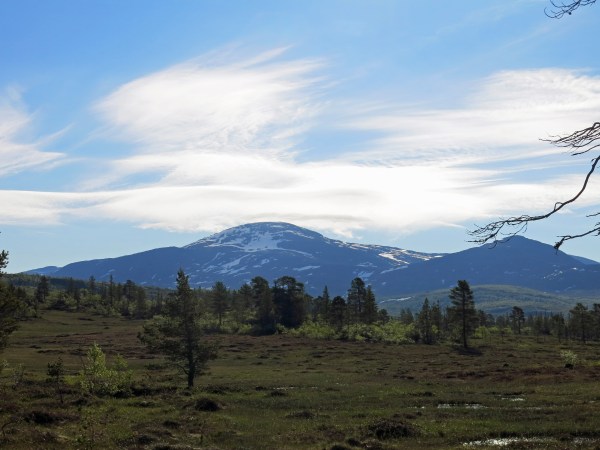 IMG_2750_5472 Kopie - Kopie