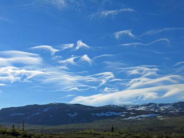 IMG_2752_5474 Kopie - Kopie