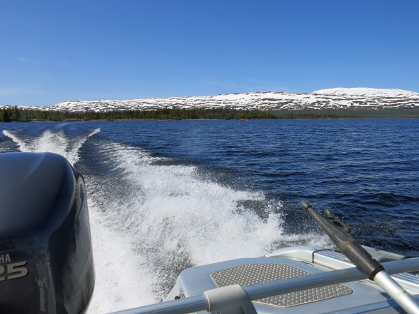 IMG_2929_5279 Kopie - Kopie