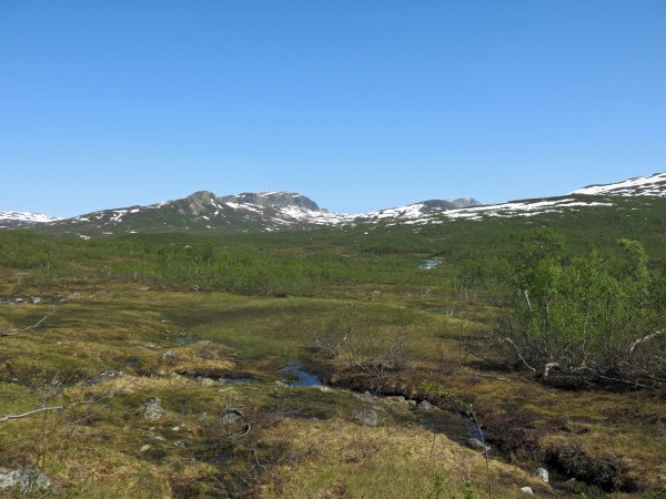 IMG_2942_5292 Kopie - Kopie