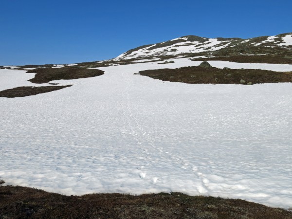 IMG_2964_5314 Kopie - Kopie