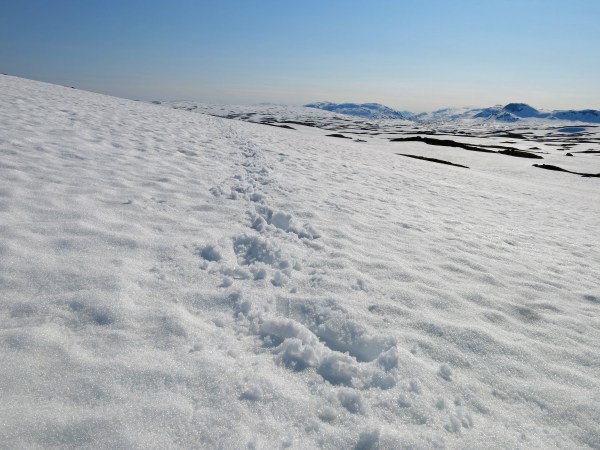 IMG_2970_5319 Kopie - Kopie