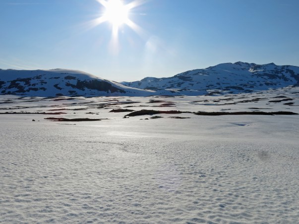 IMG_2977_5326 Kopie - Kopie