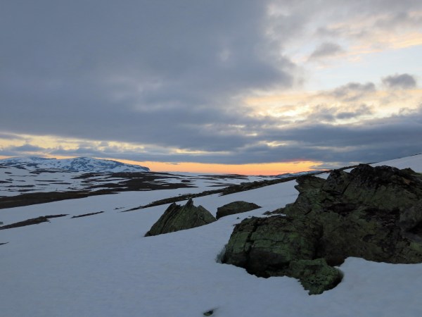 IMG_2993_5230_bearbeitet-1