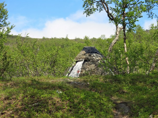 IMG_3117_5165 Kopie - Kopie