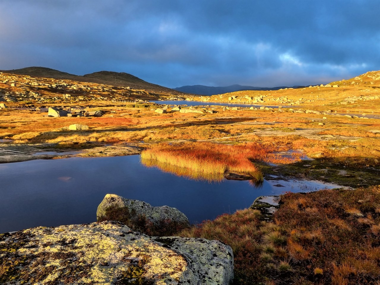 Tourbericht 2021: Setesdal- und&nbsp;Syrdalsheiane