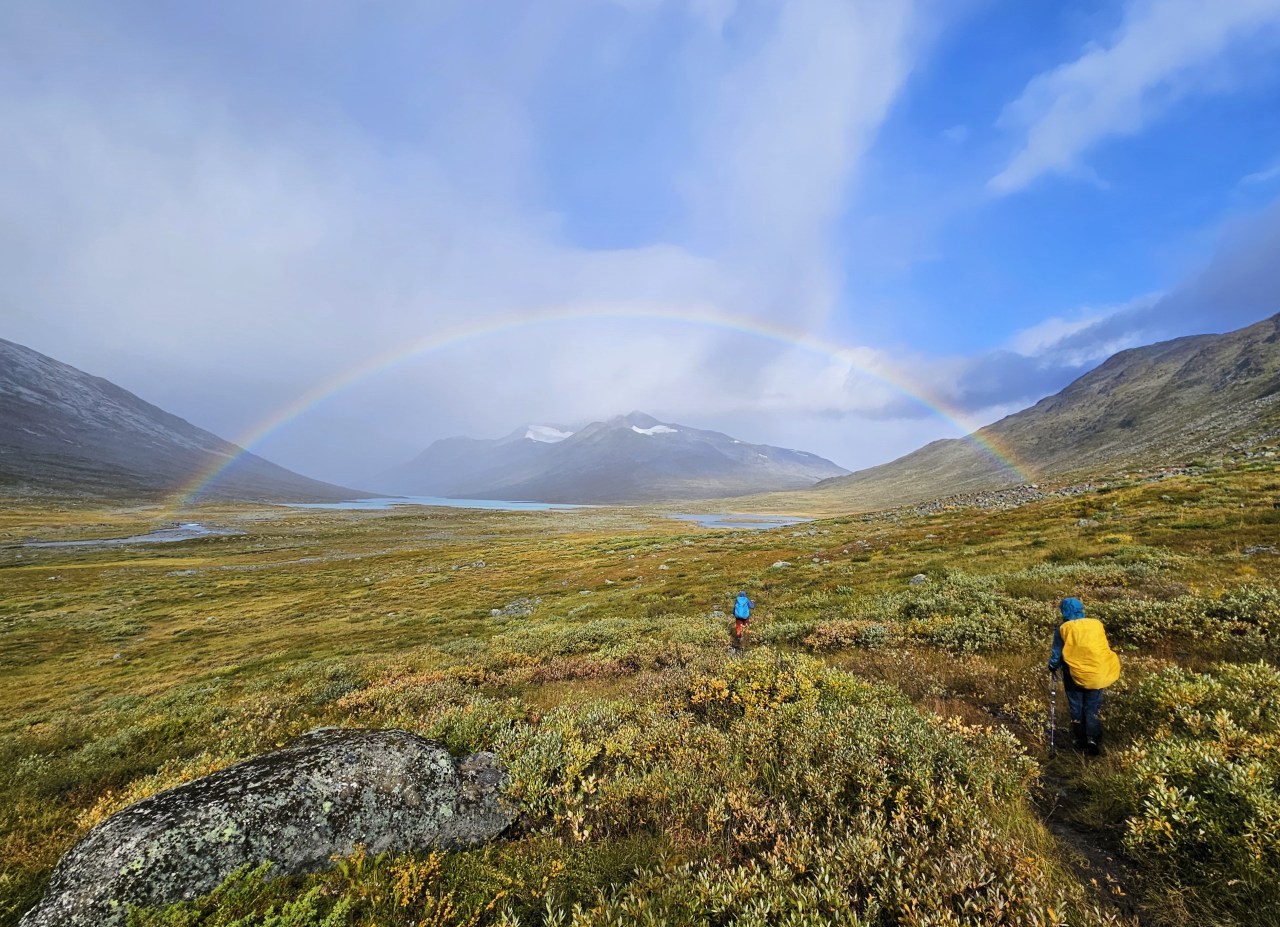 Ein Hauch von&nbsp;NPL